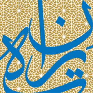 آثار برگزیده دومین جشنواره عکاسی بافت تاریخی «ته ران»