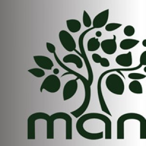 استخدام طراح گرافیک در گروه بین المللی مانی