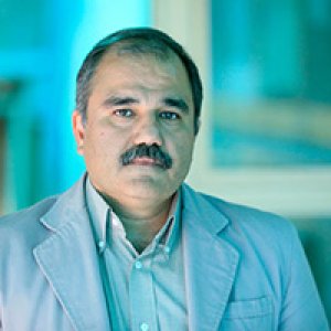 جشنواره تجسمی فجر تلاش دارد روند تولید فیلم‌های تجسمی را جهت دهد