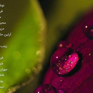 ماکروگرافی رنگدانه ها در خانه عکاسان جوان