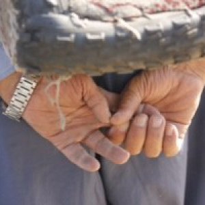 نمایشگاه عکس «به خاطر زندگی» در نگارخانه عکاسان جوان