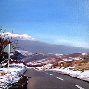 نمایشگاه نقاشی در مسیر طبیعت