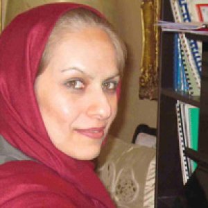 وب سایت هاله آرامی گشایش یافت