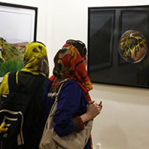 گشایش نمایشگاه طبیعت دست ساخته‌ی من