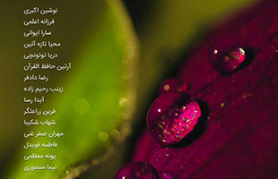 ماکروگرافی رنگدانه ها در خانه عکاسان جوان